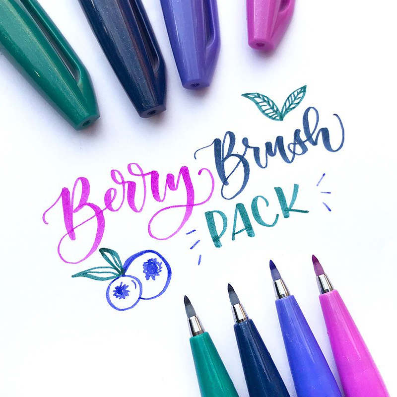 1PC ぺんてる 筆先ブラシ タッチ サイン ペン 明るいパ - Pentel Pen Sign Pen のレビューと価格